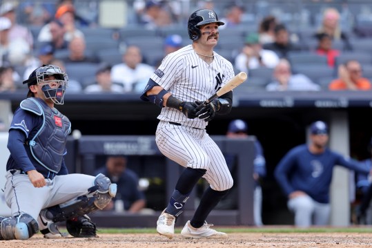 MLB: Tampa Bay Rays at New York Yankees, austin wells