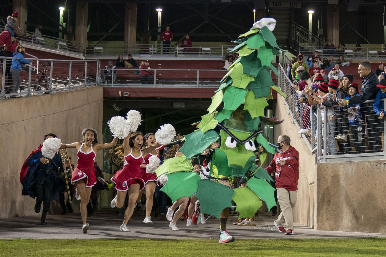 NCAA Football: Washington at Stanford