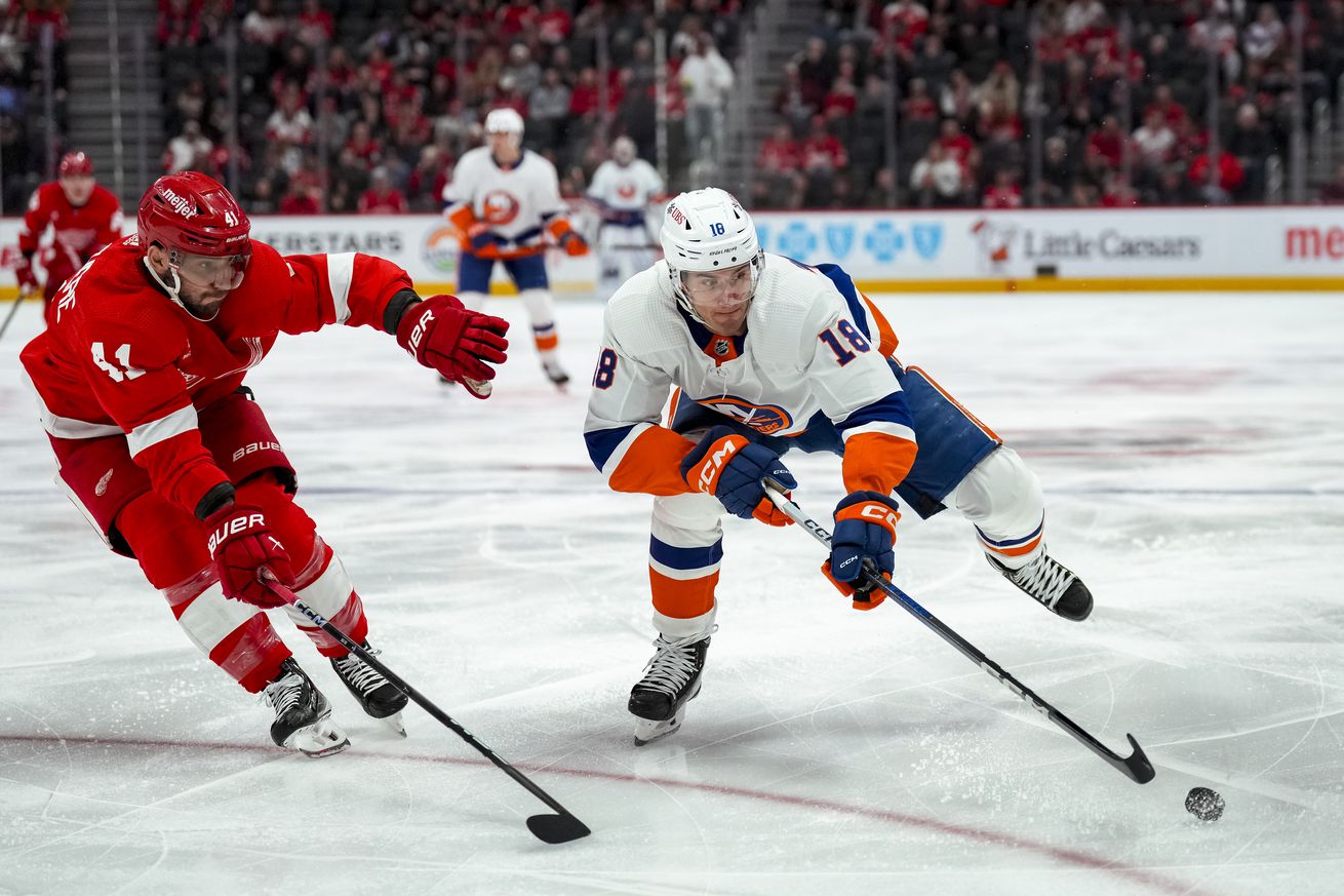 New York Islanders v Detroit Red Wings