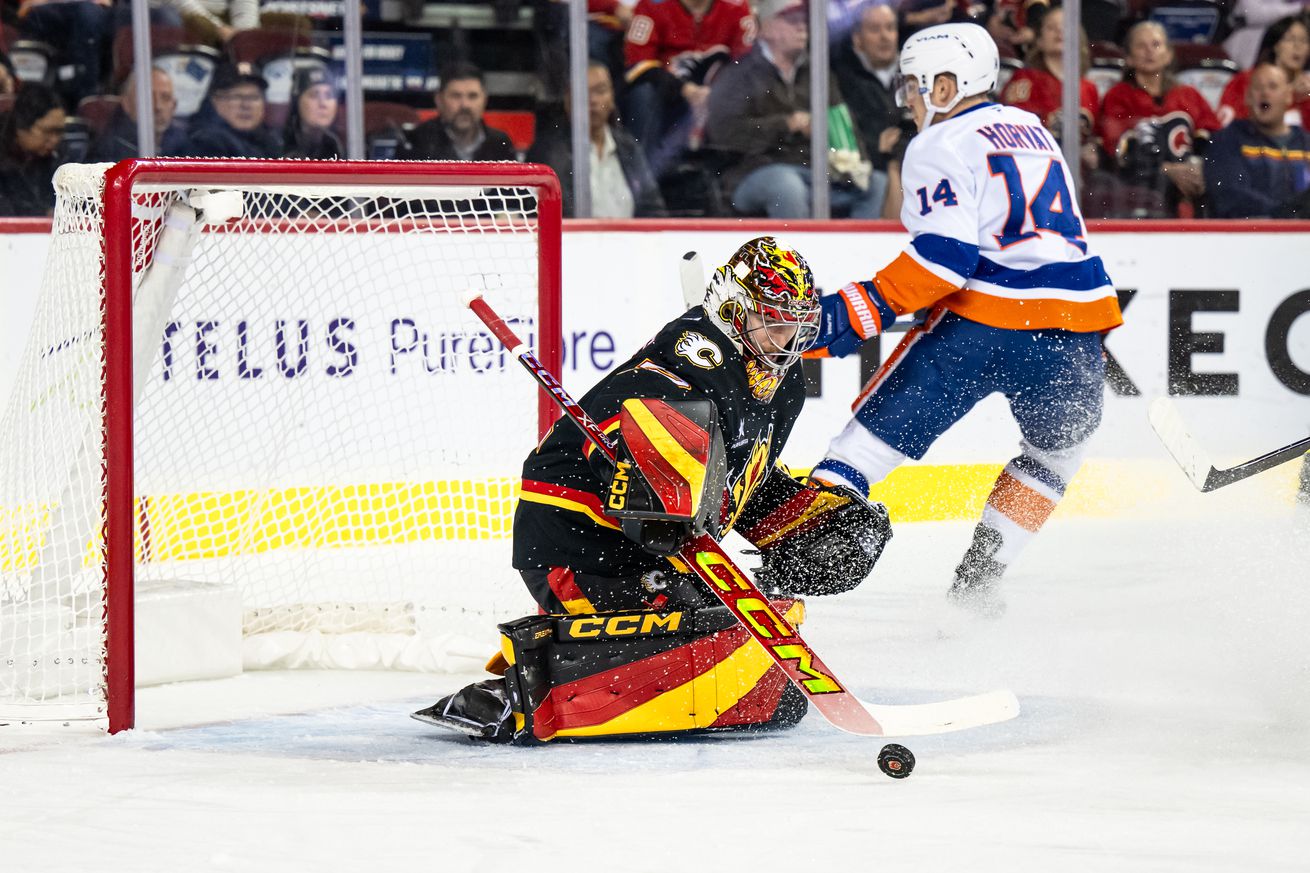 NHL: NOV 19 Islanders at Flames