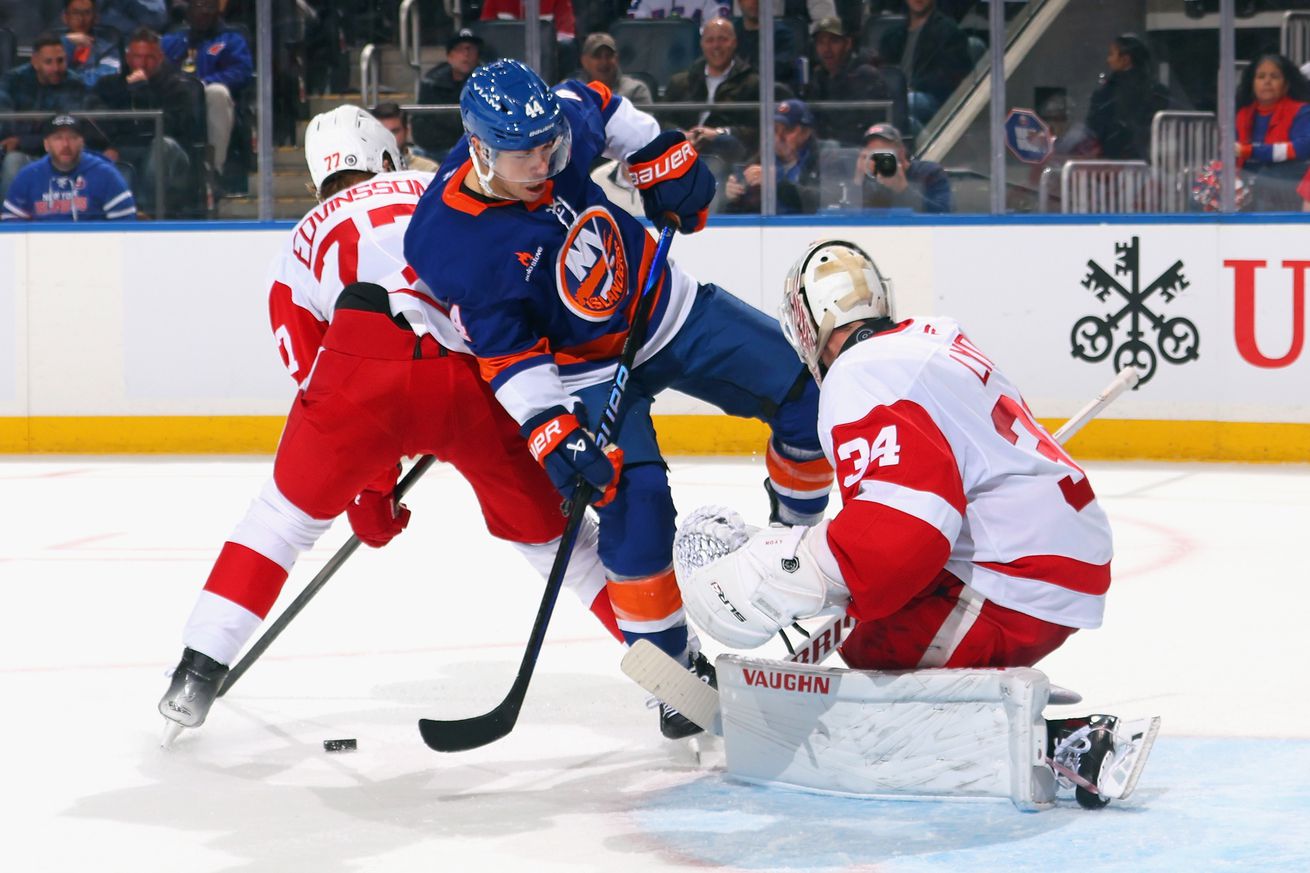 Detroit Red Wings v New York Islanders