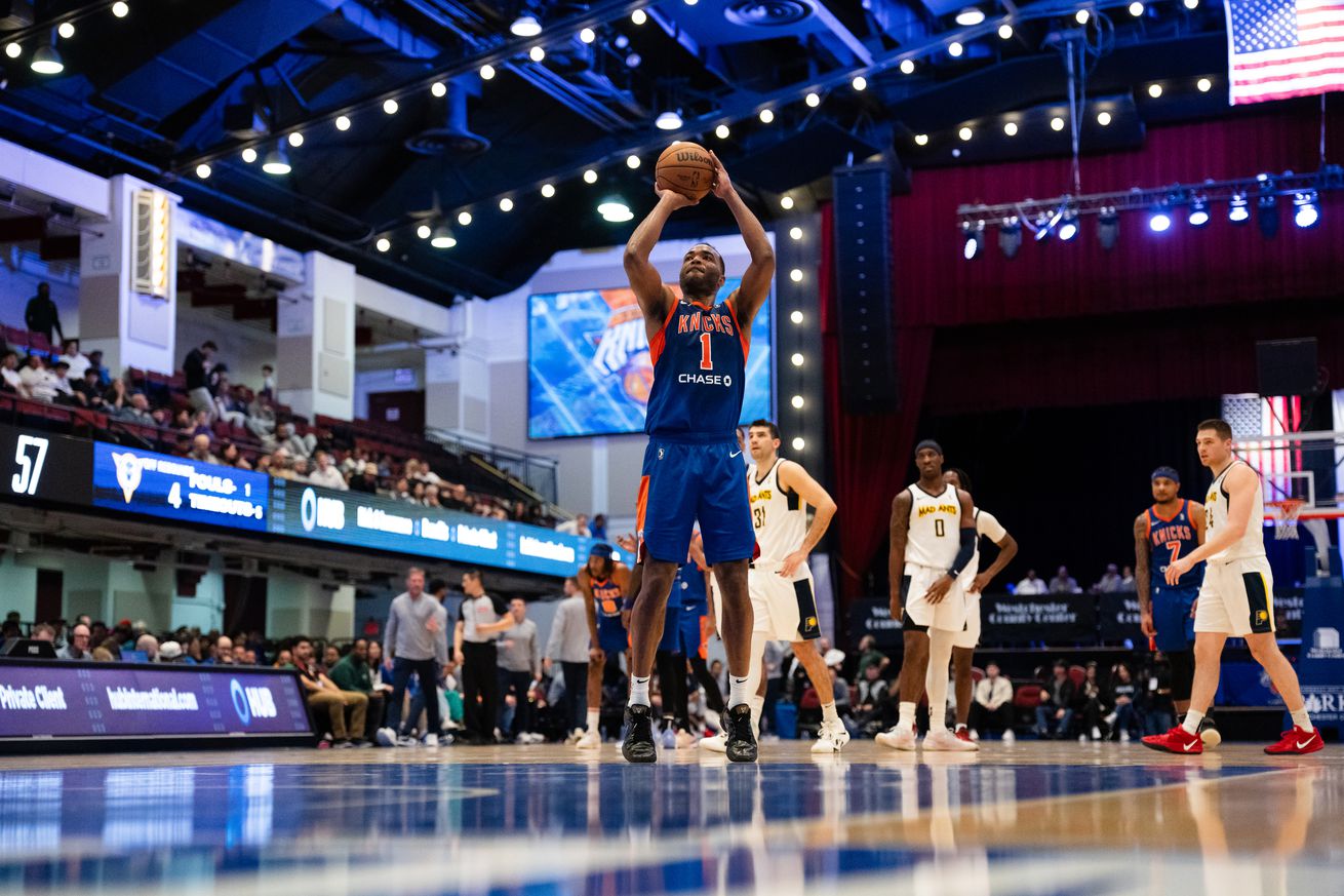 Indiana Mad Ants v Westchester Knicks