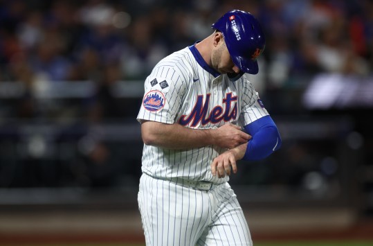 Oct 18, 2024; New York City, New York, USA; New York Mets first baseman Pete Alonso (20) reacts after being hit by a pitch during the fourth inning against the Los Angeles Dodgers during game five of the NLCS for the 2024 MLB playoffs at Citi Field. Mandatory Credit: Vincent Carchietta-Imagn Images