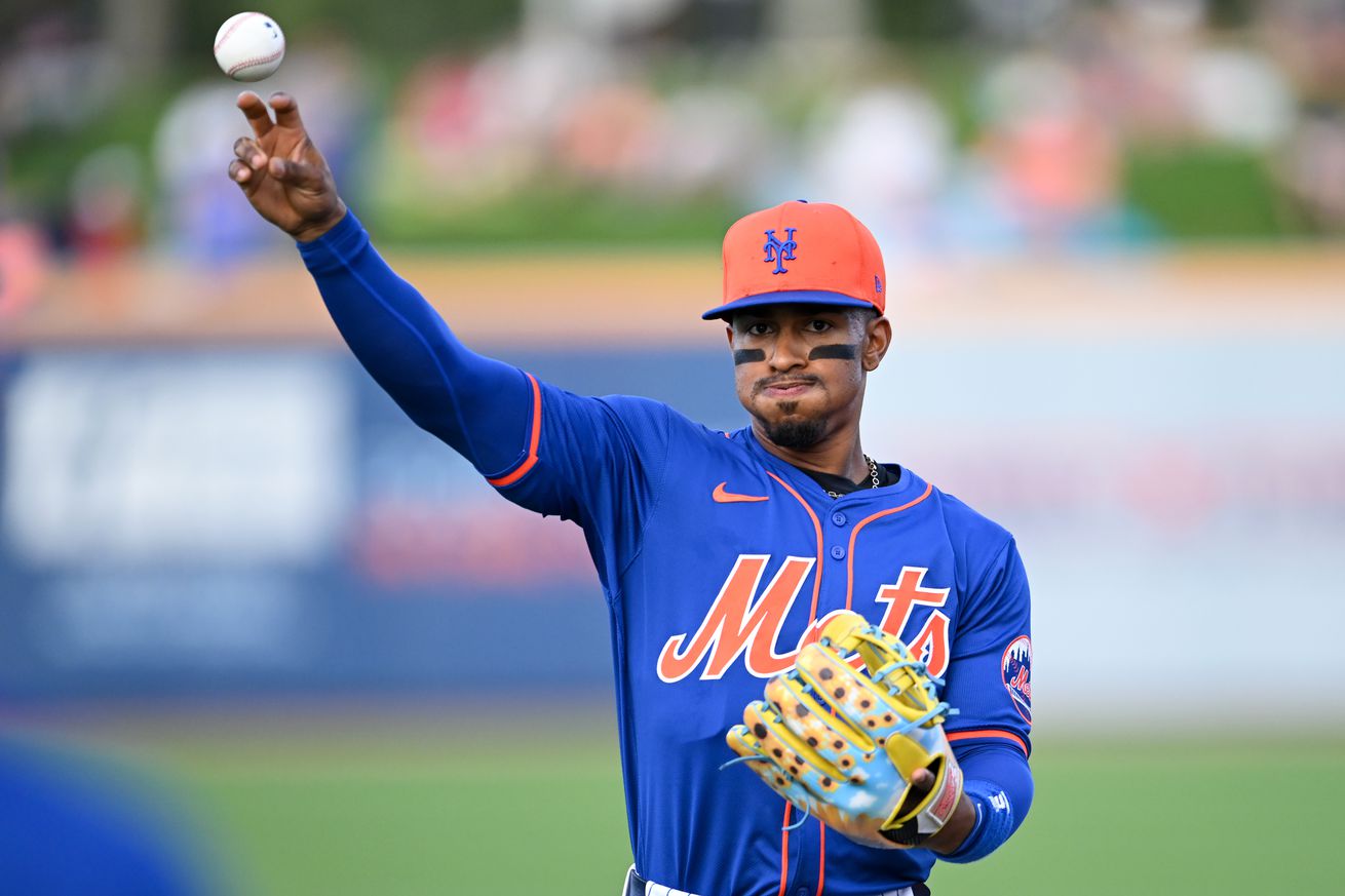 Washington Nationals v New York Mets