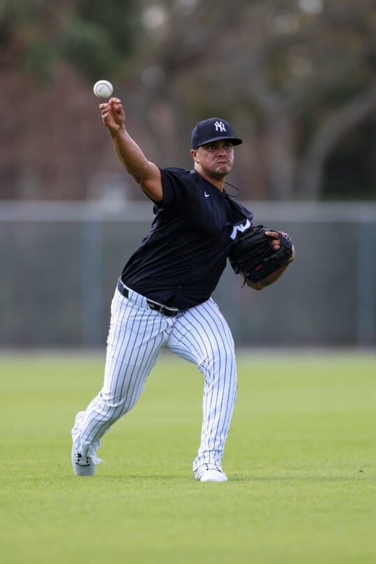 MLB: New York Yankees-Workouts, fernando cruz