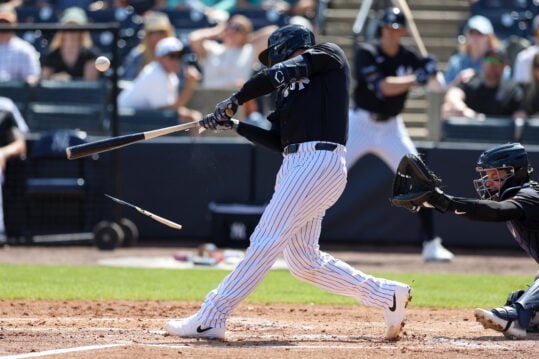 MLB: Spring Training-Detroit Tigers at New York Yankees, alex jackson