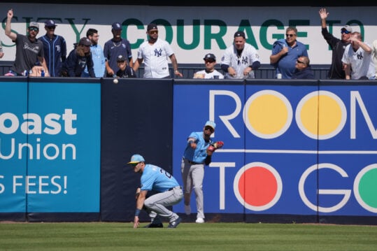 MLB: Spring Training-Tampa Bay Rays at New York Yankees, paul goldschmidt