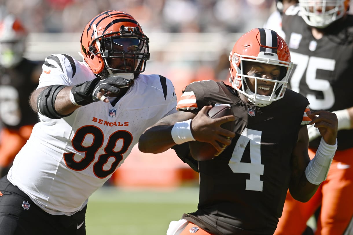 Sheldon Rankins, Bengals, Giants