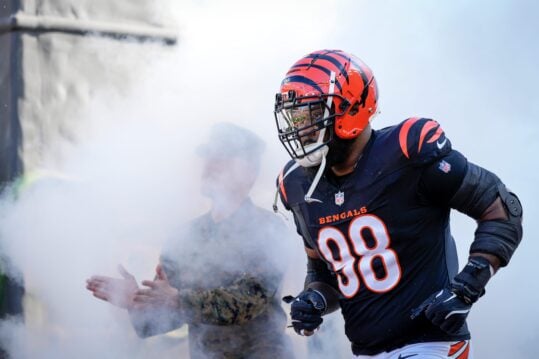 Sheldon Rankins, Bengals, Giants