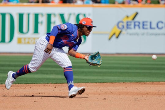 Luisangel Acuna, Mets