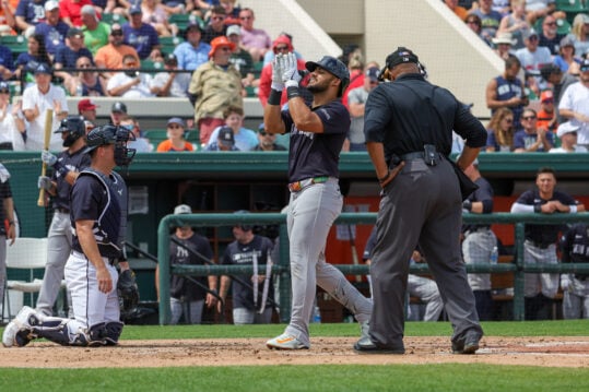 MLB: Spring Training-New York Yankees at Detroit Tigers, jasson dominguez