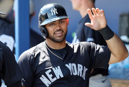 MLB: Spring Training-New York Yankees at Tampa Bay Rays, jasson dominguez