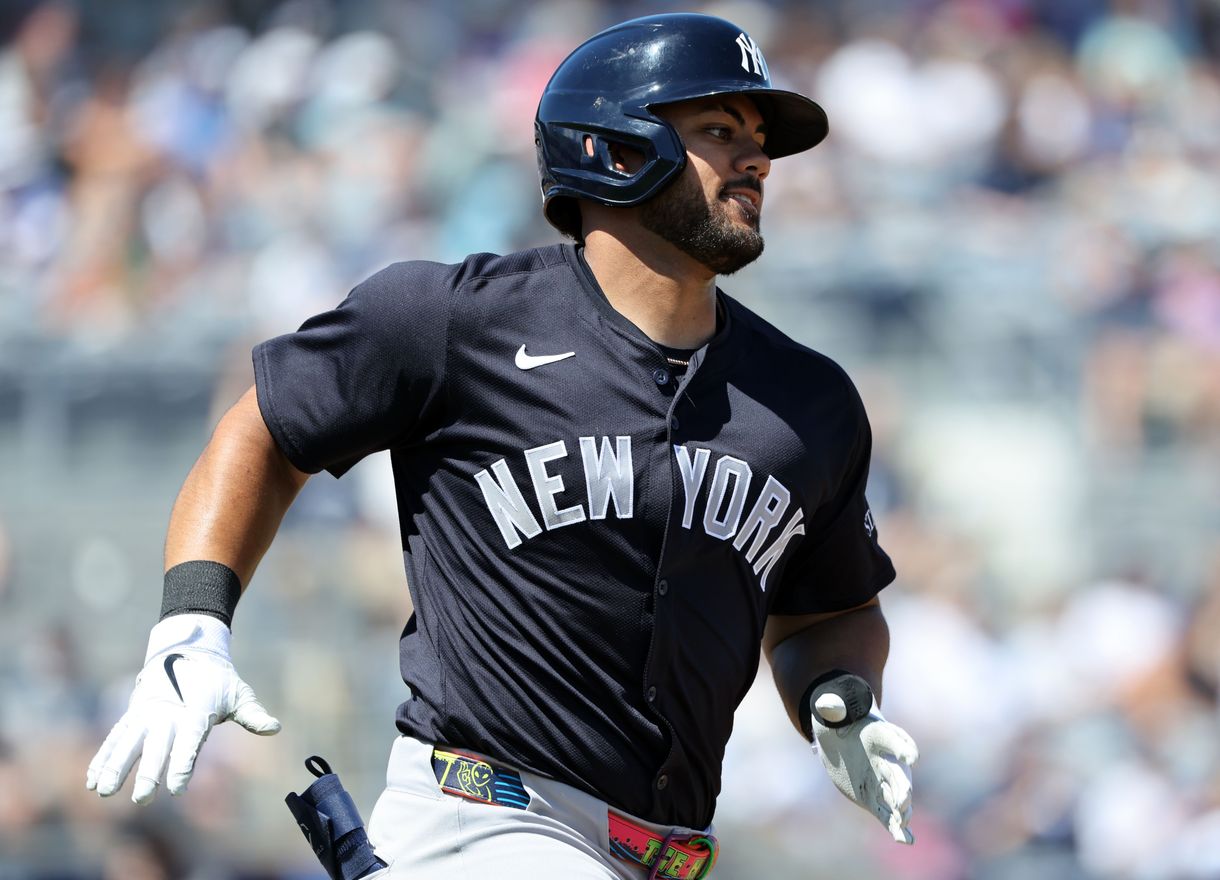 MLB: Spring Training-New York Yankees at Tampa Bay Rays, jasson dominguez